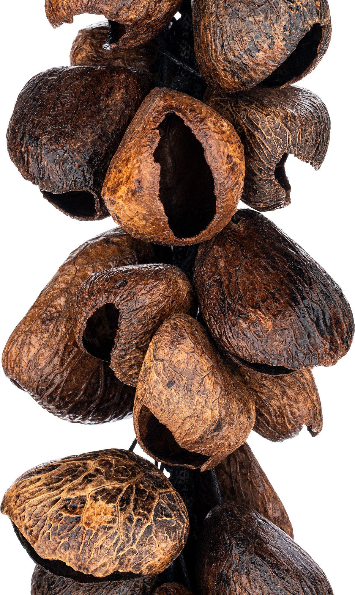 MEINL Percussion Pangi Waterfall Shaker, 40 Seeds