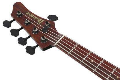 IBANEZ Visions MODE E-Bass 5-String + Koffer