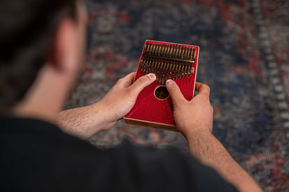 ORTEGA Percussion Series Acoustic Kalimba