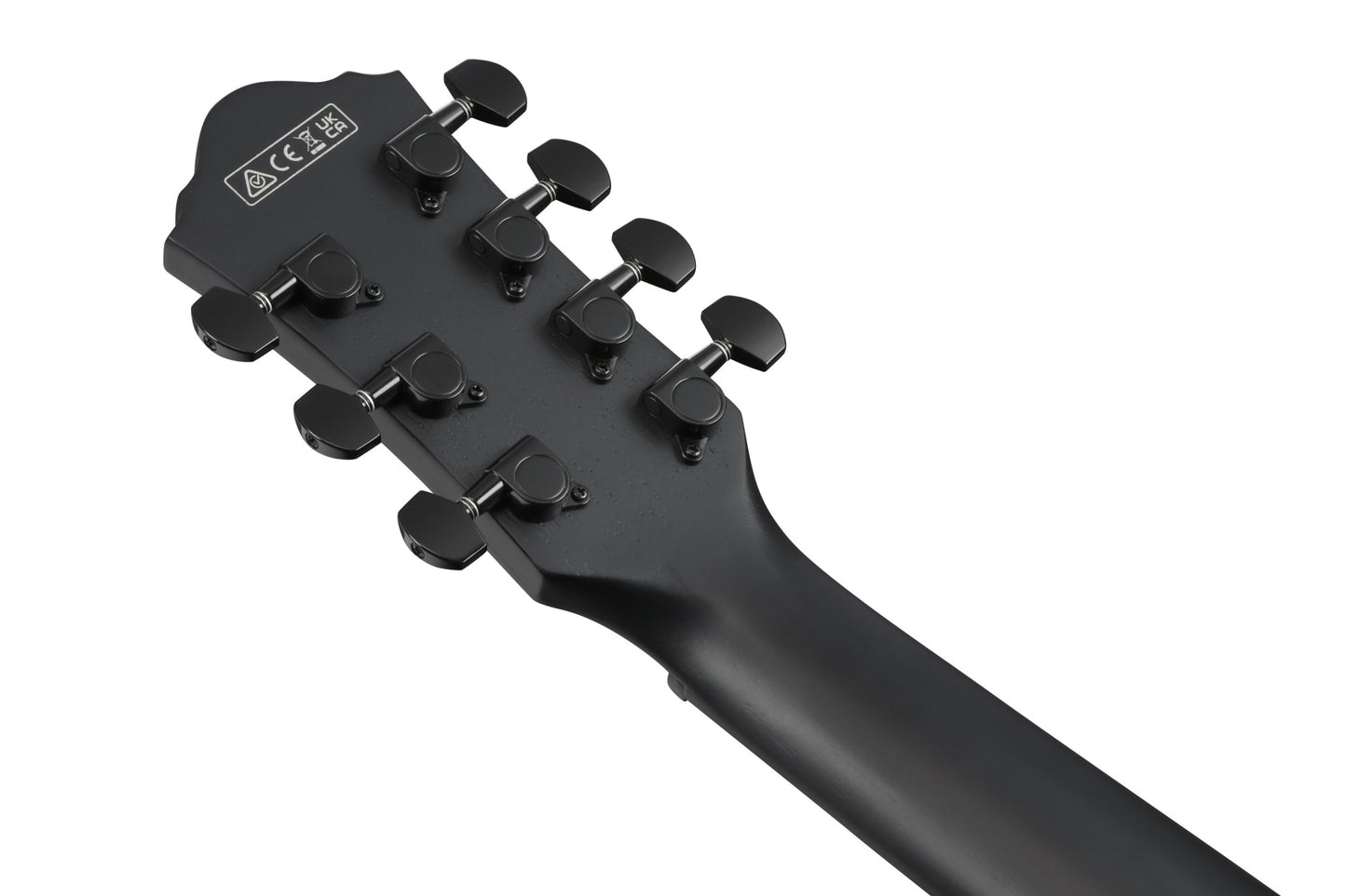 IBANEZ AEG Acoustic Guitar 7-String - Black Out