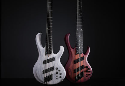 IBANEZ Bass Workshop BTB Electric Bass 6-String - Brown Topaz Burst Flat + Case