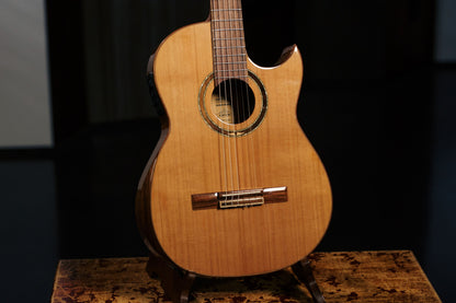 ORTEGA Ben Woods Signature Nylon String Gitarre 6-String + Ben Woods Gigbag