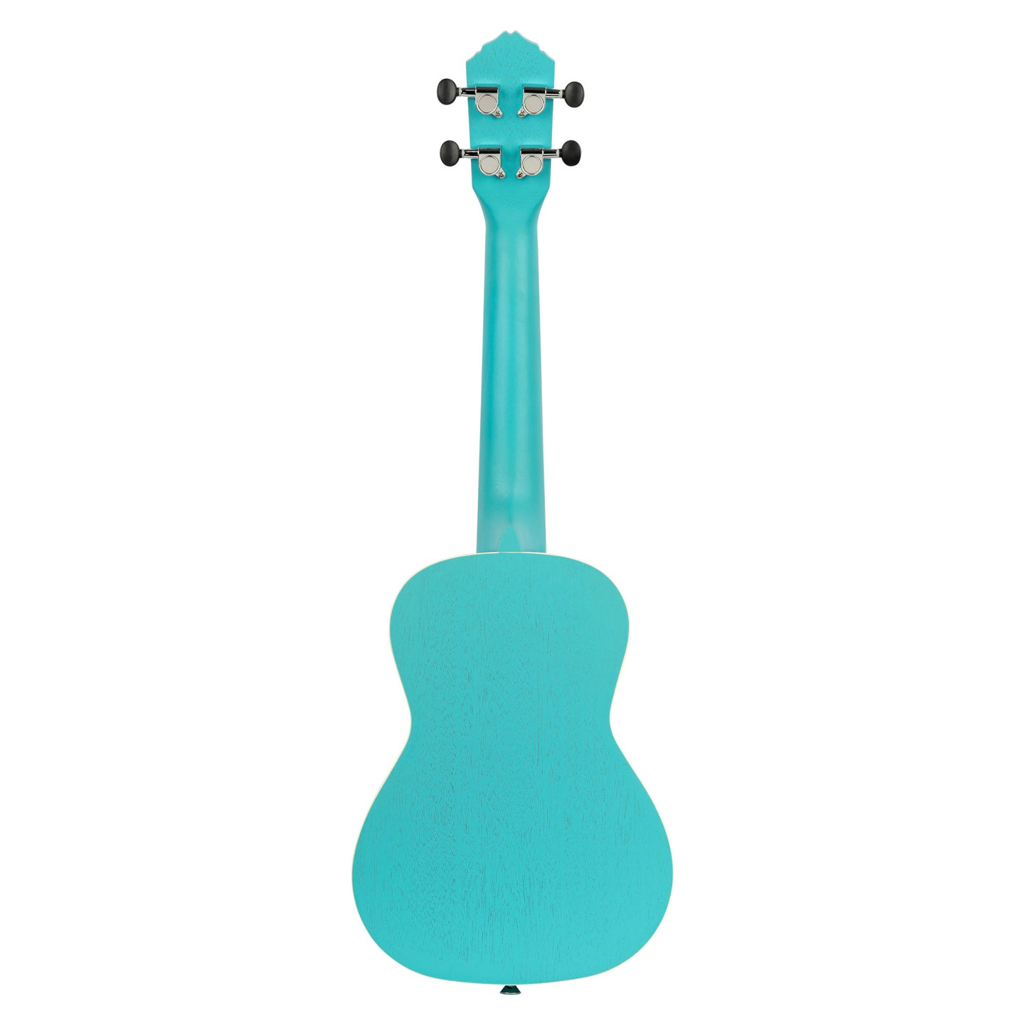 ORTEGA Earth Series Concert Ukulele 4 String - Lagoon