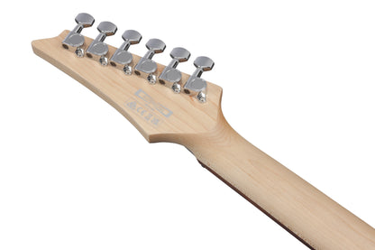 IBANEZ SA E-Gitarre 6-String - Blue Reef Gradation