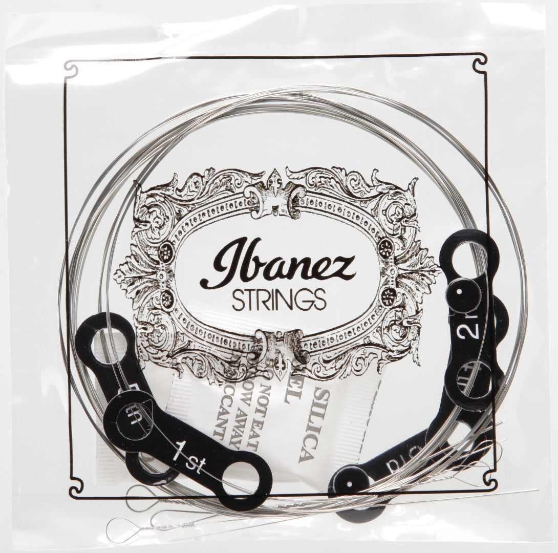 IBANEZ Saiten Set für 5 String Banjo