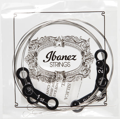 IBANEZ Saiten Set für 5 String Banjo