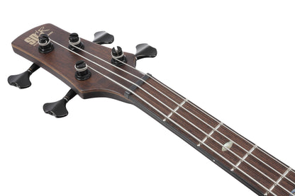 IBANEZ Premium SR Electric Bass 4-String - Dual Mocha Burst Flat + Gig Bag