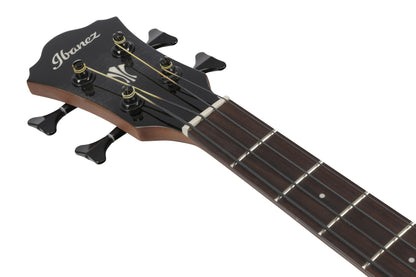 IBANEZ AEGB Acoustic Bass 4-String - Transparent Black Sunburst, Natural High Gloss Back & Sides