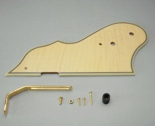 IBANEZ Pickguard