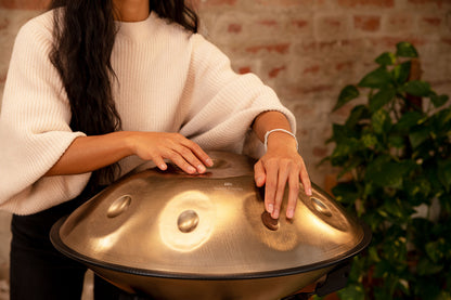Meinl Sonic Energy Sensory Handpan Edelstahl D Kurd 9 Töne 440 Hz - Vintage Gold