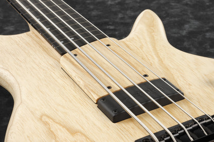 IBANEZ Gary Willis Signature E-Bass 5-String Fretless - Natural Flat + Koffer M20SR