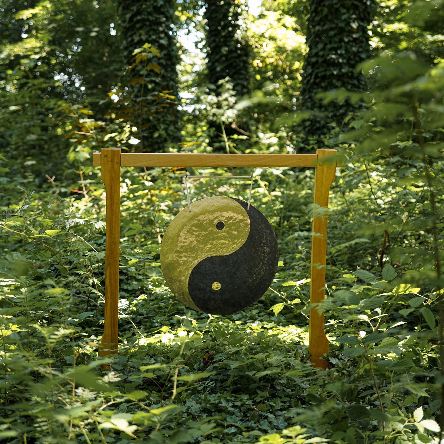 MEINL Sonic Energy Wind Gong - Yin & Yang - 22" + Beater & Cover