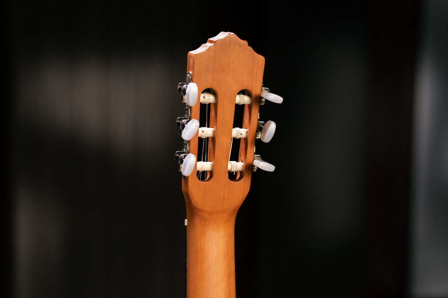 ORTEGA Family Series 4/4 Konzertgitarre 6 String - Zeder / Mahagoni Natur + Bag