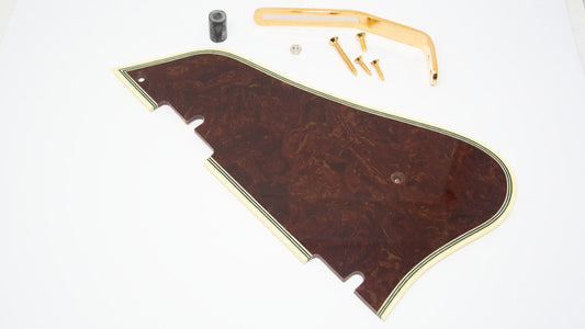 IBANEZ Pickguard AF 200