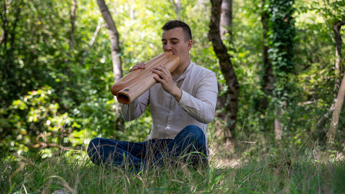 Meinl Sonic Energy Z-shaped  Didgeridoo - C Stimmung - Natur