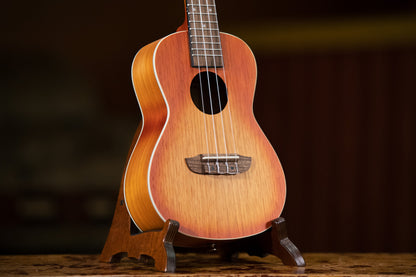 ORTEGA Earth Series Concert Ukulele 4 String - Sunburst