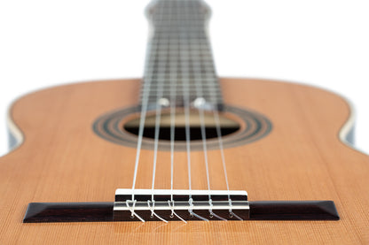 ORTEGA Traditional Series 4/4 Nylon String Guitar 6-String + Pro Gigbag