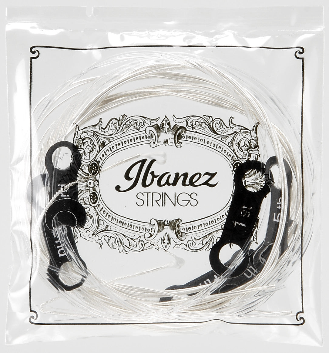 IBANEZ String Set for 6 String Acoustic Guitar - Hard