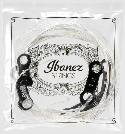IBANEZ String Set for 6 String Acoustic Guitar - Hard