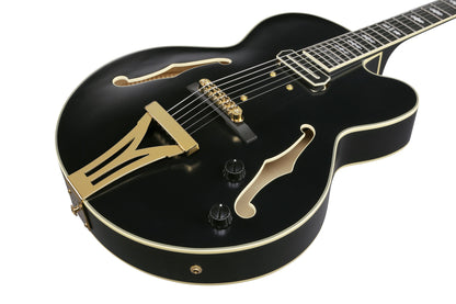 IBANEZ Pat Metheny Signature Hollow Body Guitar 6-String - Black Low Gloss + Case