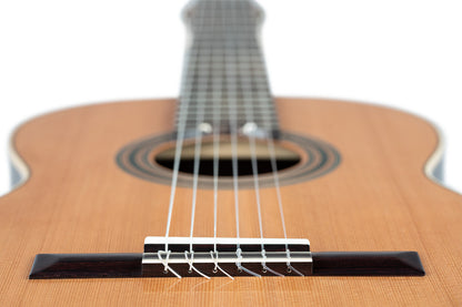 ORTEGA Traditional Series 4/4 Nylon String Guitar 6-String + Pro Gigbag