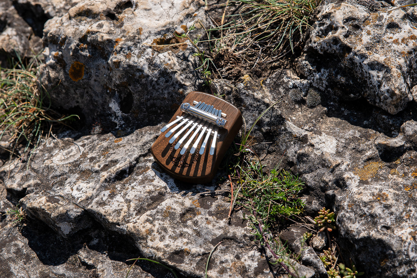 Meinl Sonic Energy Solid "Tree of Life" Mini Kalimba - 8 Töne / Schwarzes Walnussholz