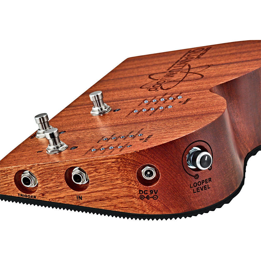 ORTEGA Stomp Box Effect Series Stomp Box & Looper