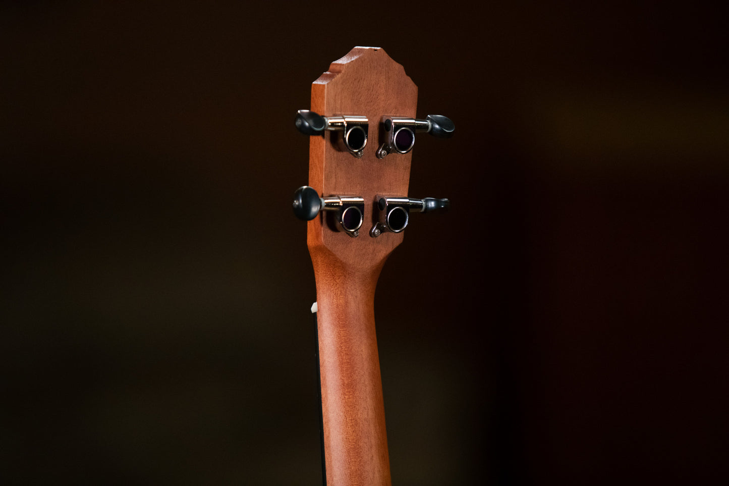 ORTEGA  Bonfire Series Concert Ukulele 4 String - Sapele Natural