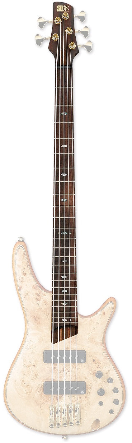 IBANEZ Hals für SR1605-NTF