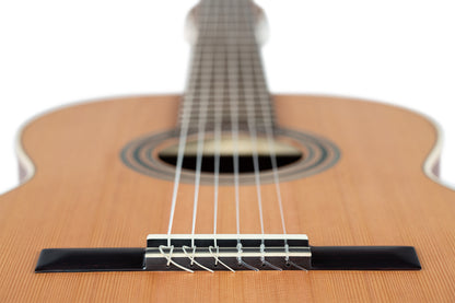ORTEGA Traditional Series 4/4 Nylon String Guitar 6-String - Satin + Pro Gig Bag