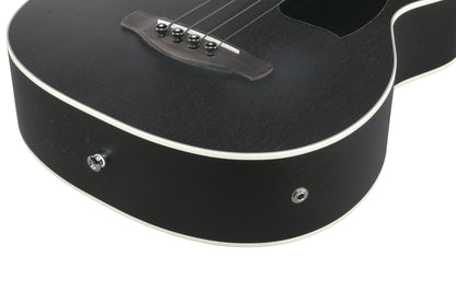 IBANEZ Performance Acoustic Bass 4-String - Open Pore Natural