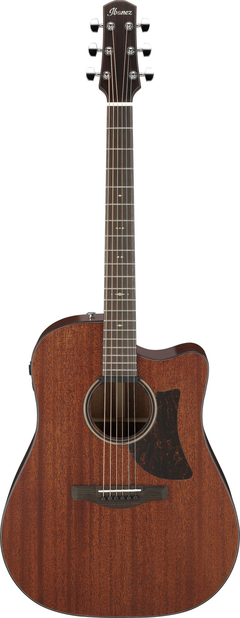 IBANEZ Advanced Acoustic Platinum Collection AAD Acoustic Guitar 6-String - Natural Low Gloss + Case