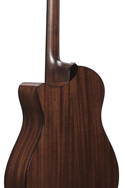 IBANEZ Advanced Acoustic, Platinum Collection 6-Str Natural High Gloss Auditorium Body