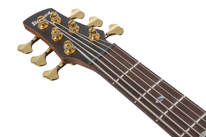 IBANEZ Prestige SR Electric Bass 6-String - Mocha Flat + Case