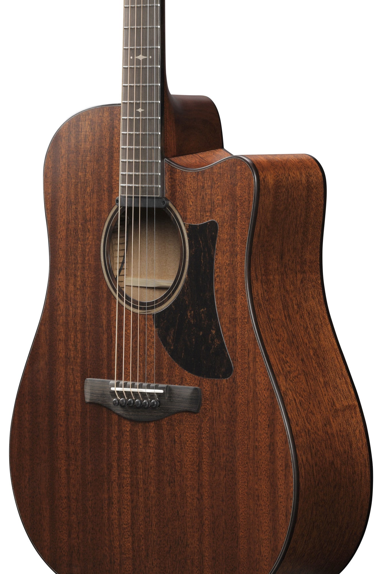 IBANEZ Advanced Acoustic Platinum Collection AAD Acoustic Guitar 6-String - Natural Low Gloss + Case
